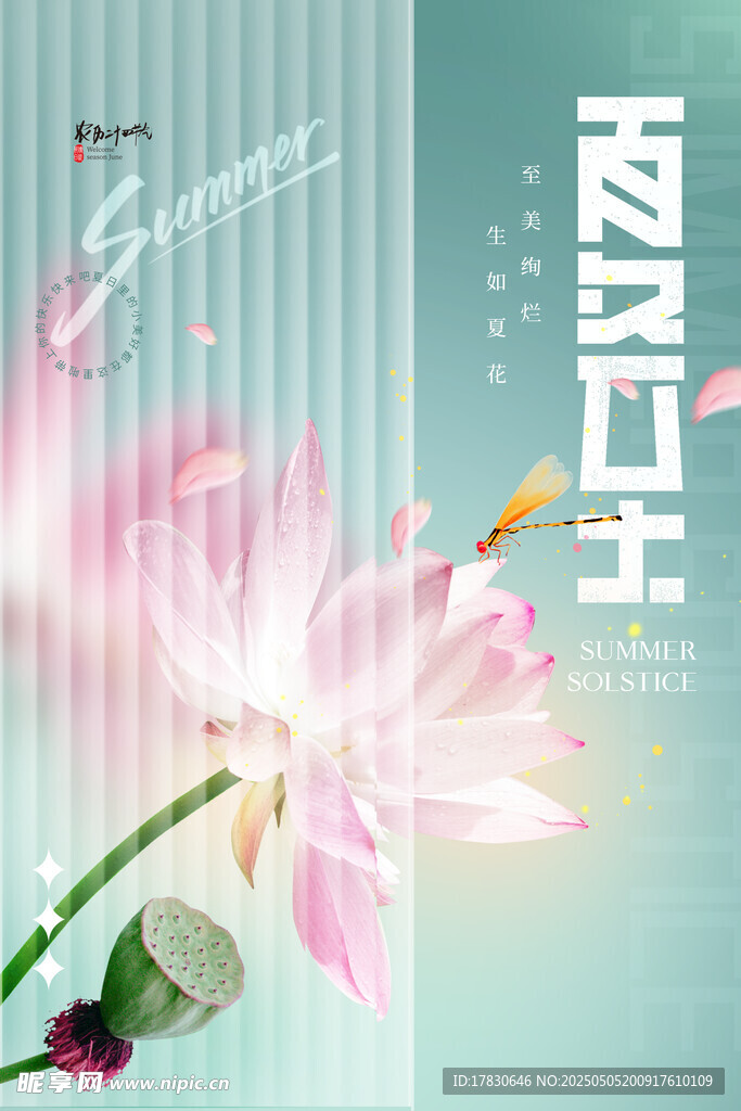 清新荷花羽毛球运动海报