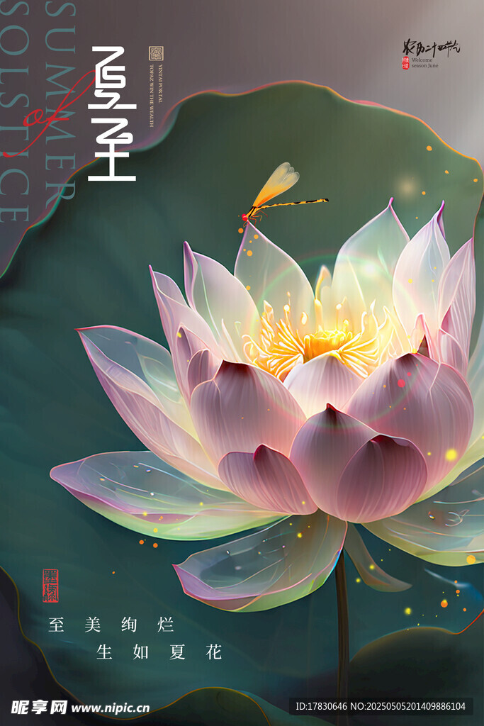 水墨风盛开的娇艳莲花