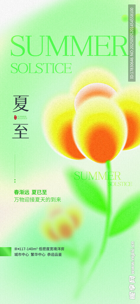 夏日花卉插画