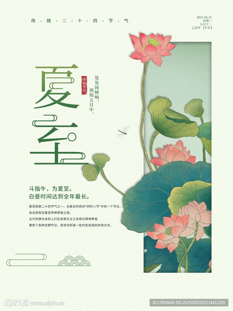 夏至时节荷花与鸟的景致