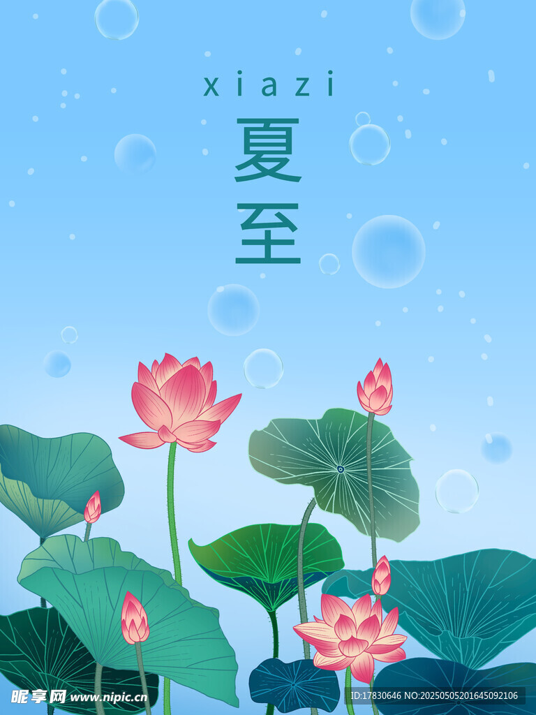 夏至荷花图