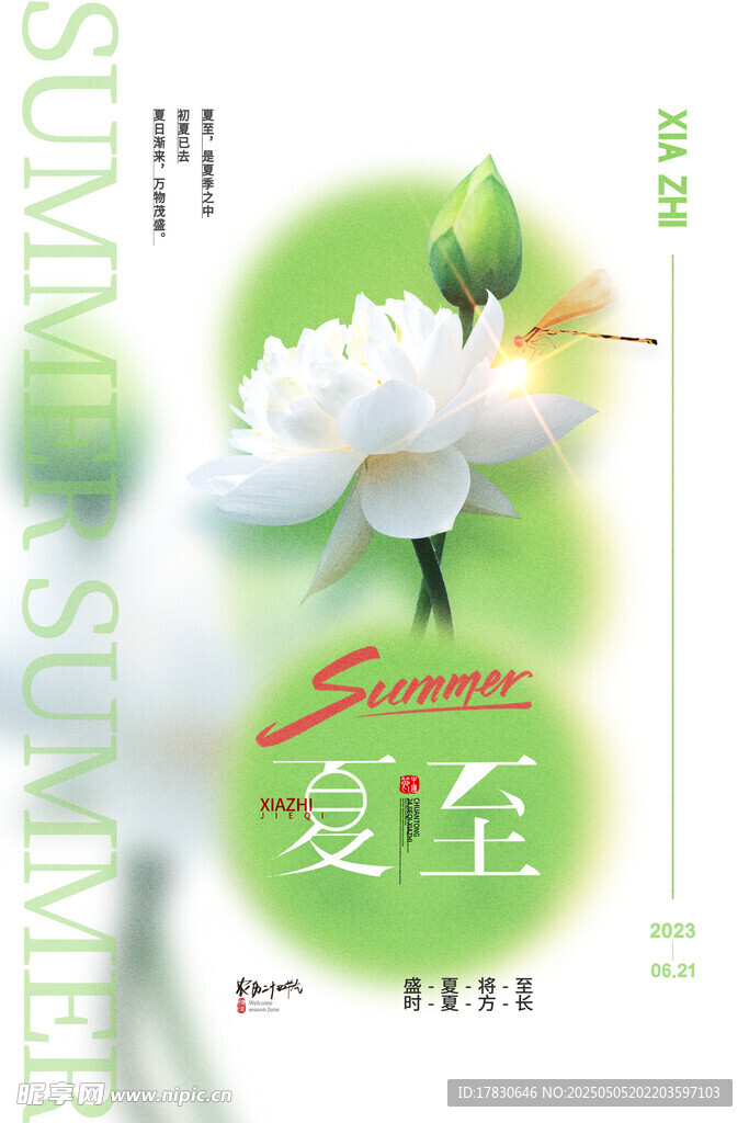 夏至时节白荷绽放