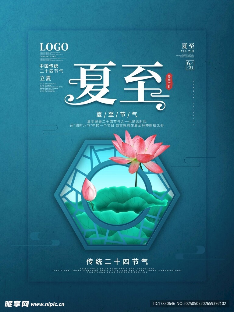 夏至时节荷花绽放图景