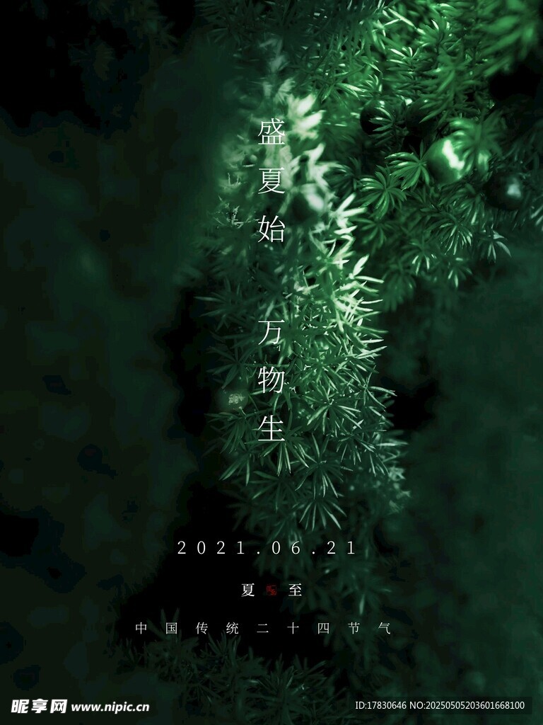 夜幕下的葱郁绿植景观