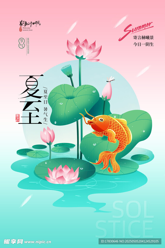 夏至时节锦鲤戏荷图