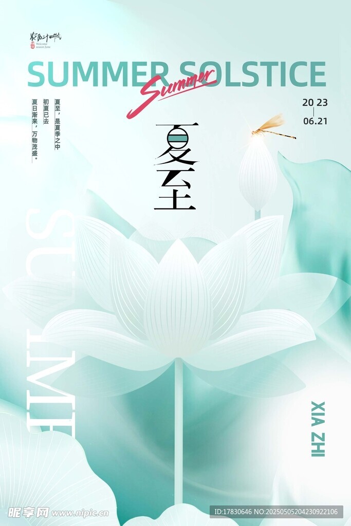 夏至时节荷花清新海报