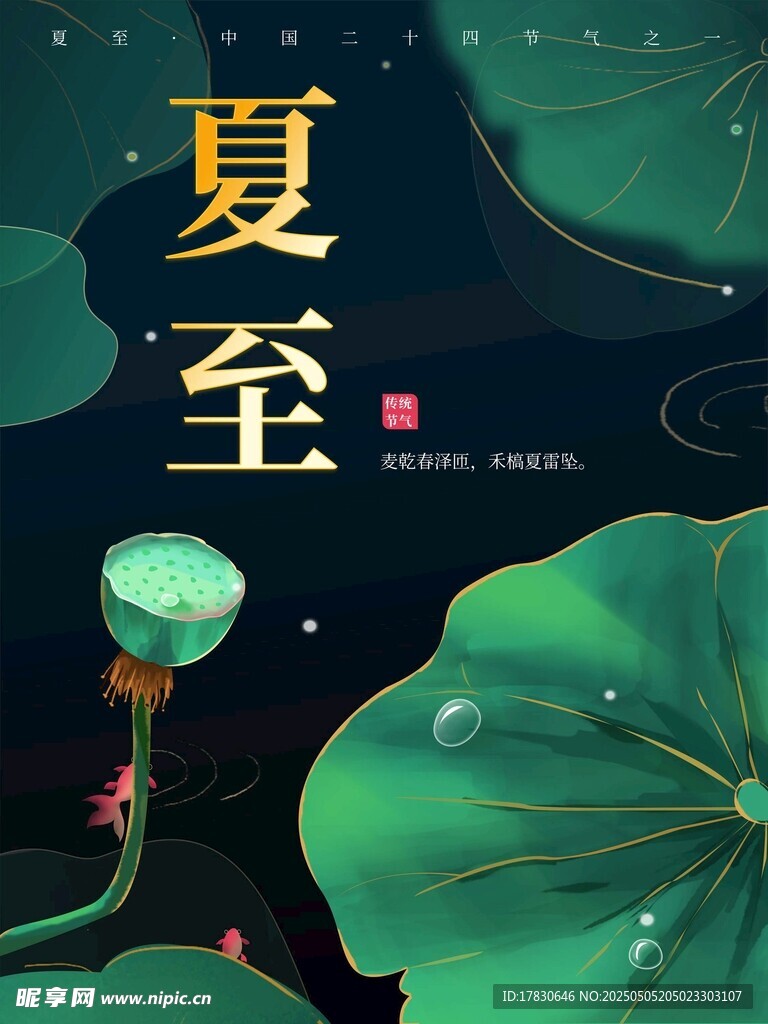 夏至时节荷叶荷花美景