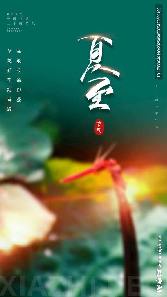 夏日荷花绽放瞬间