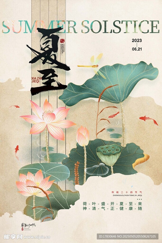 夏至荷花日历插画