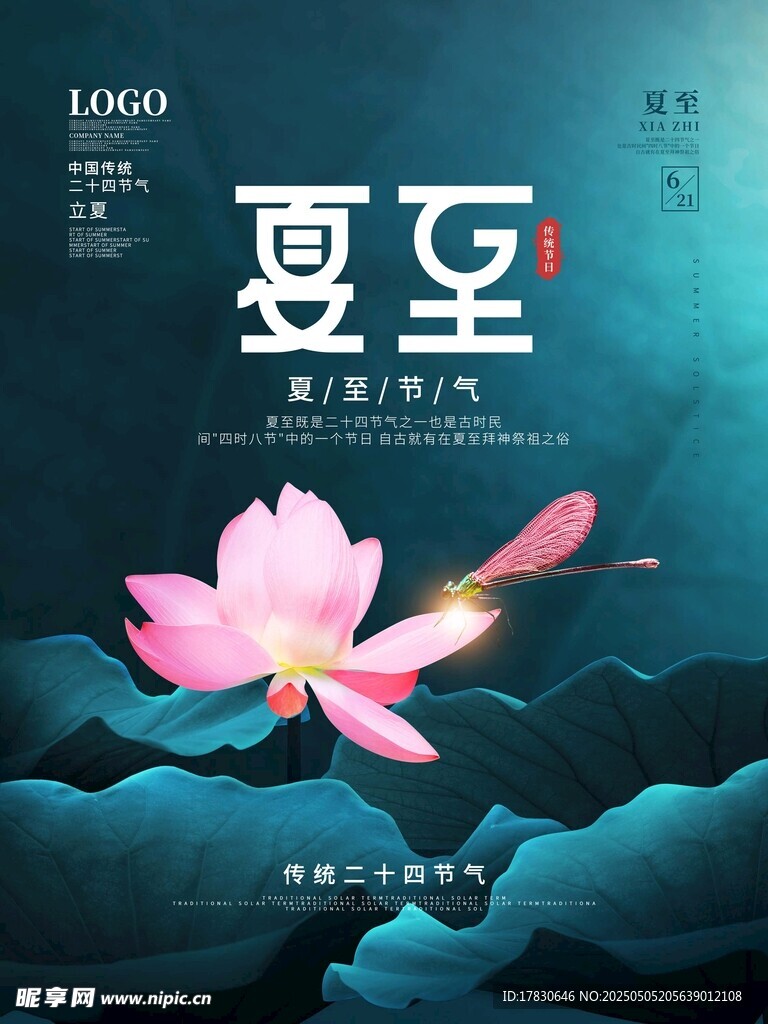 夏至时节荷花绽放图景