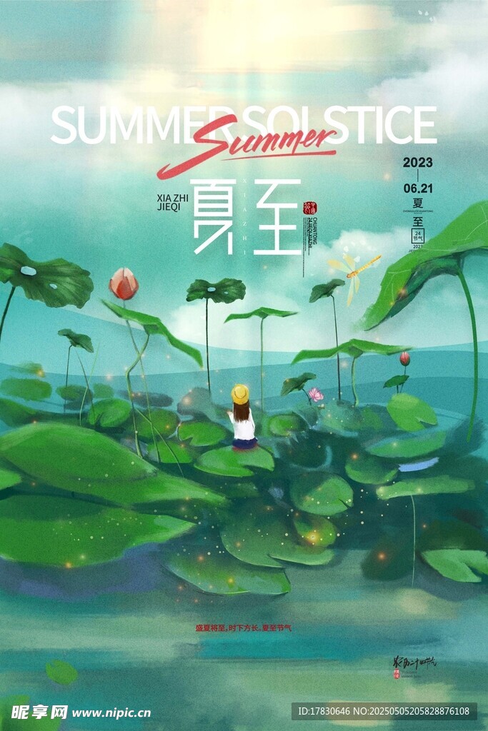 夏日荷塘中的自在小生灵