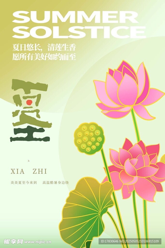 夏至荷花海报设计素材