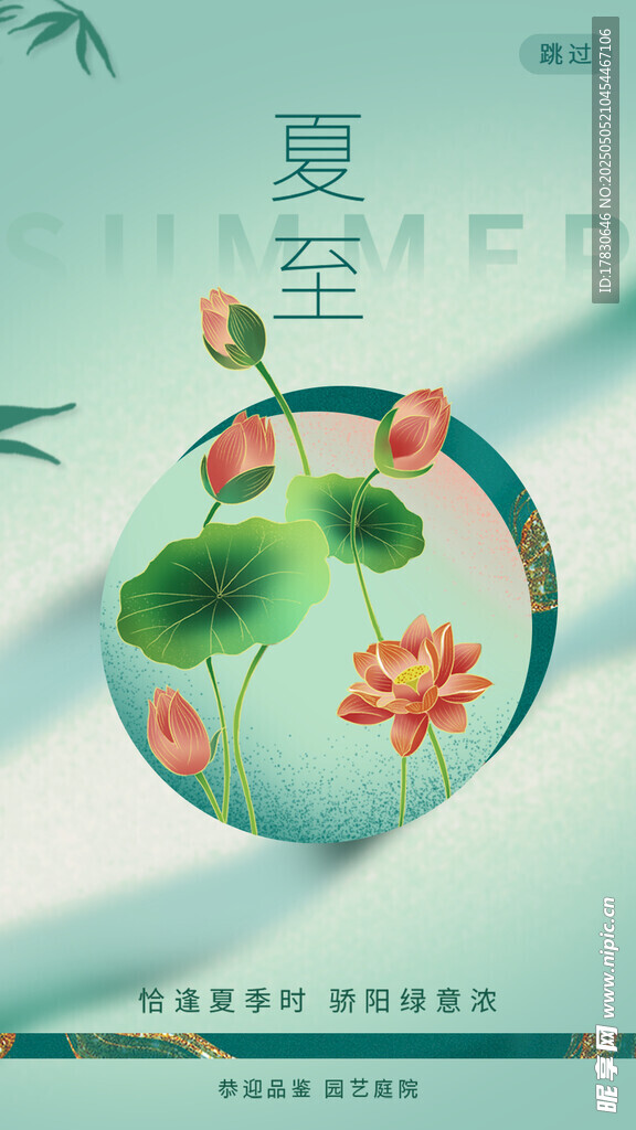 夏至荷花图