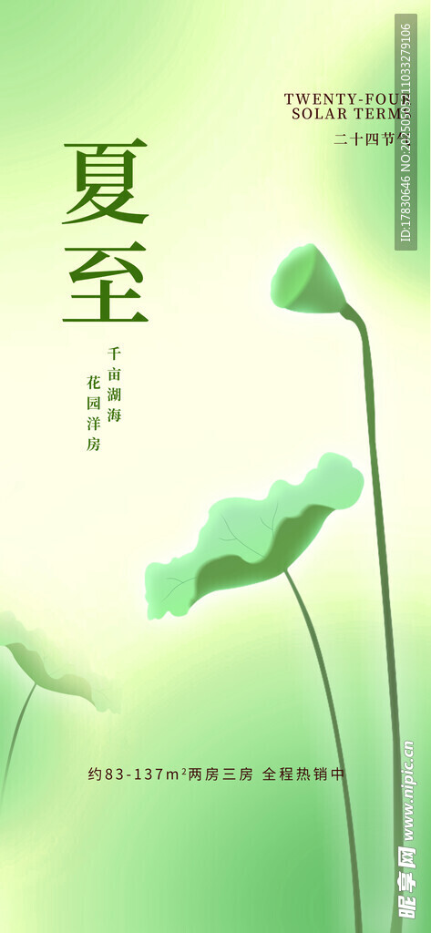 夏至时节的清新荷花景象