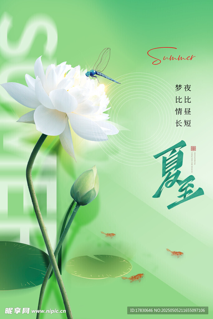 夏日清新荷花图