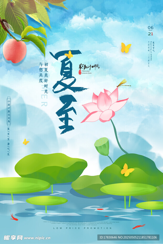 夏至时节荷塘美景