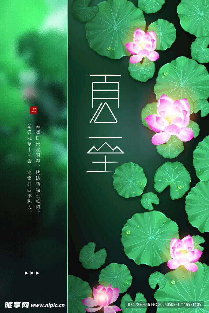夏日荷花图