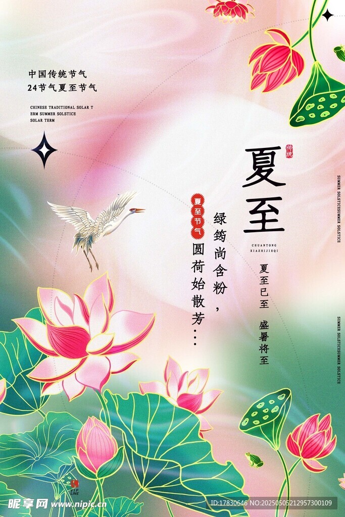 夏日荷花飞鸟诗意图景