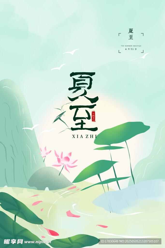 夏至时节荷塘美景