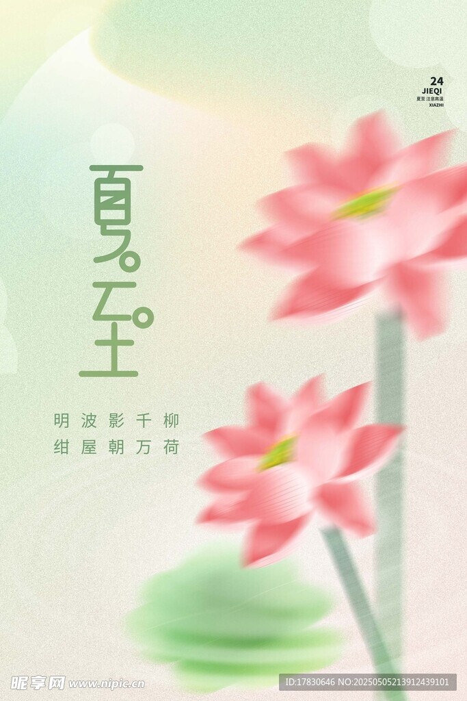 夏日荷花清新插画