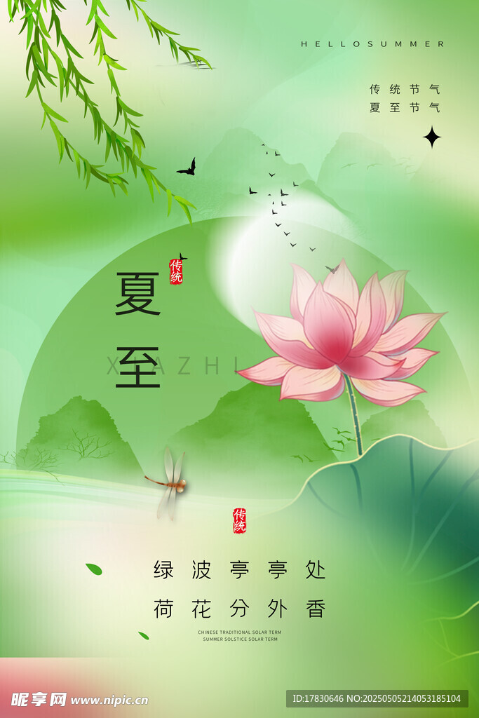 夏至荷花日历插画