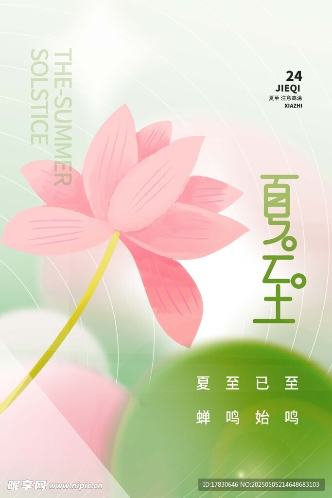 清新粉色荷花插画设计