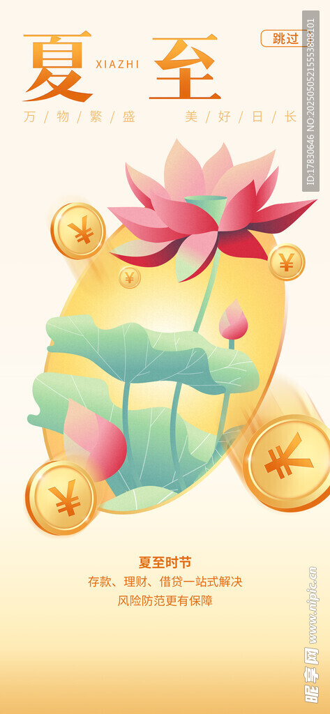 夏至节气荷花插画海报