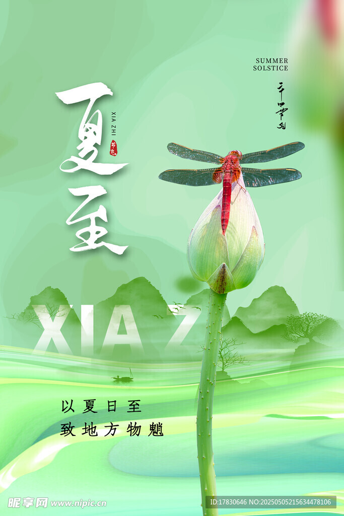 夏至时节蜻蜓立荷尖