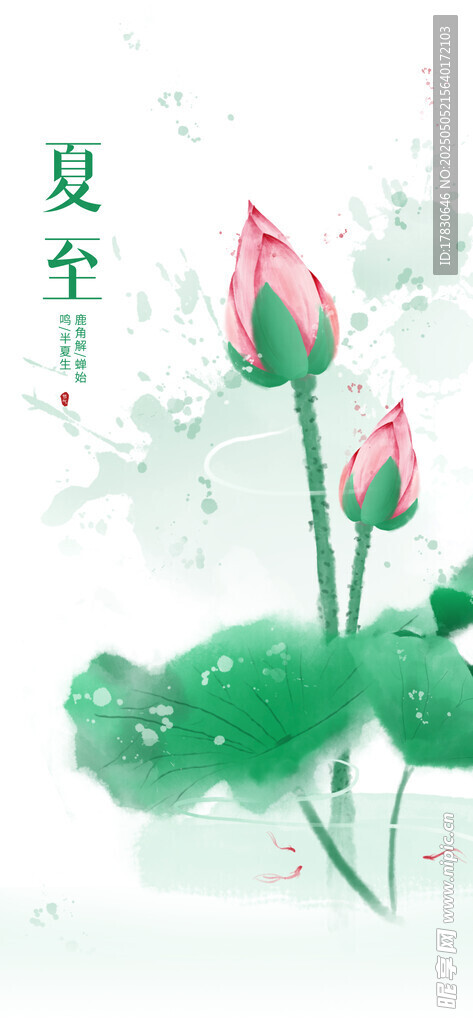 夏日荷花图