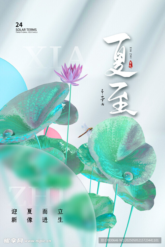 夏至荷花插画海报