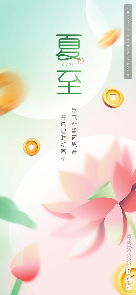 夏至时节荷花绽放图景