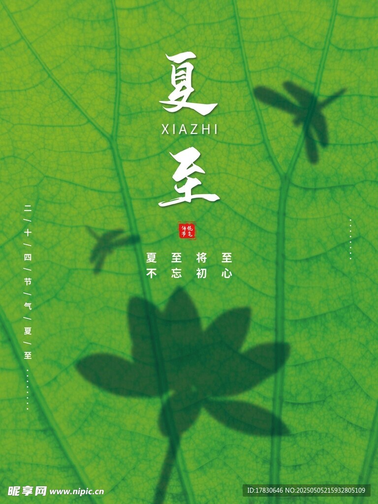 夏日荷叶蜻蜓图