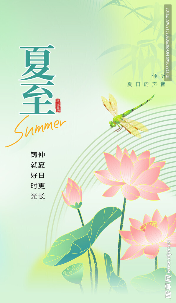 夏至荷花蜻蜓插画