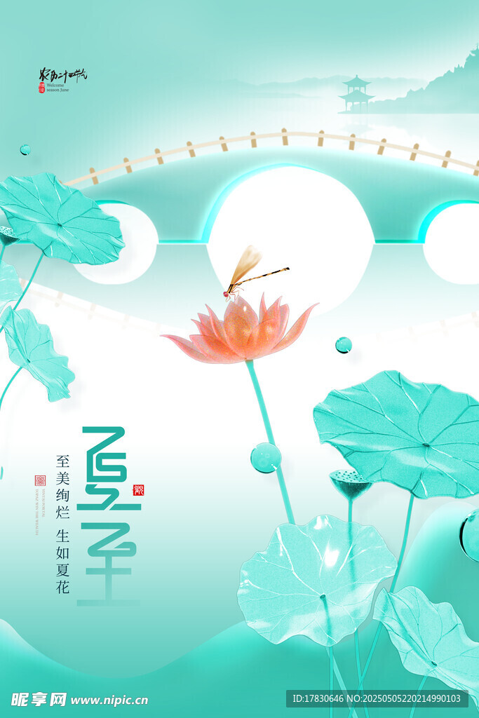 夏日荷塘清新插画意境美