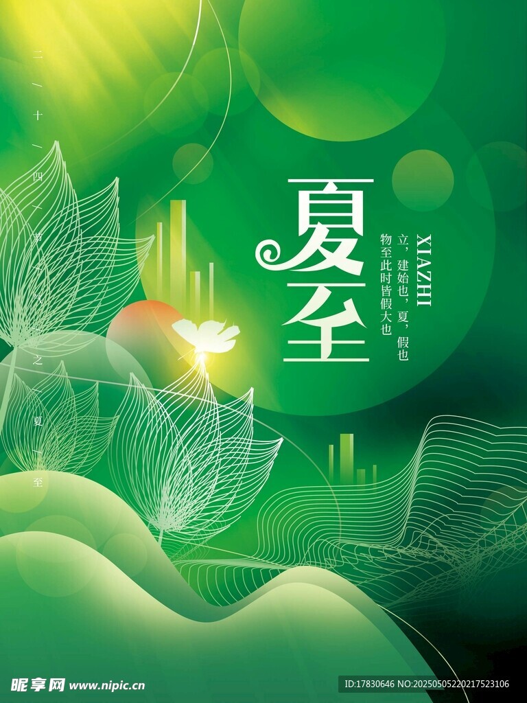 夏至节气清新插画海报