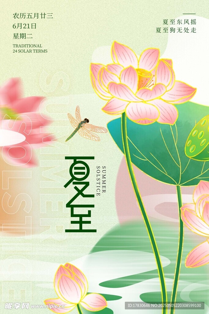 夏至荷花绽放插画
