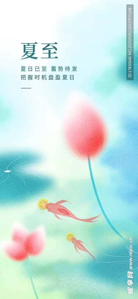夏日荷花蜻蜓清新插画
