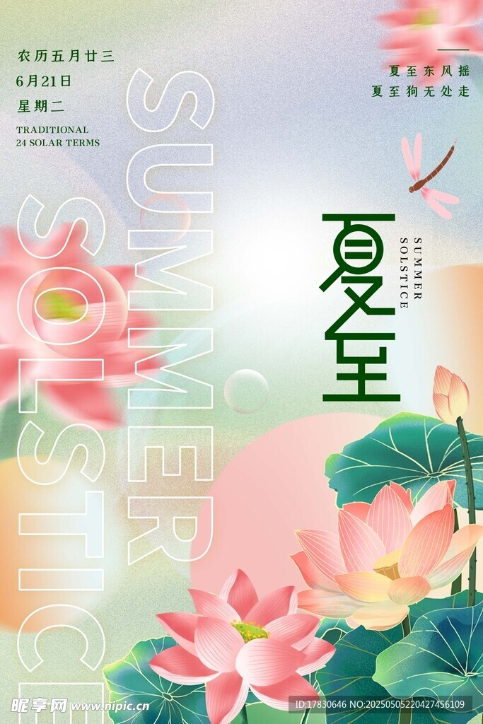 夏至荷花图