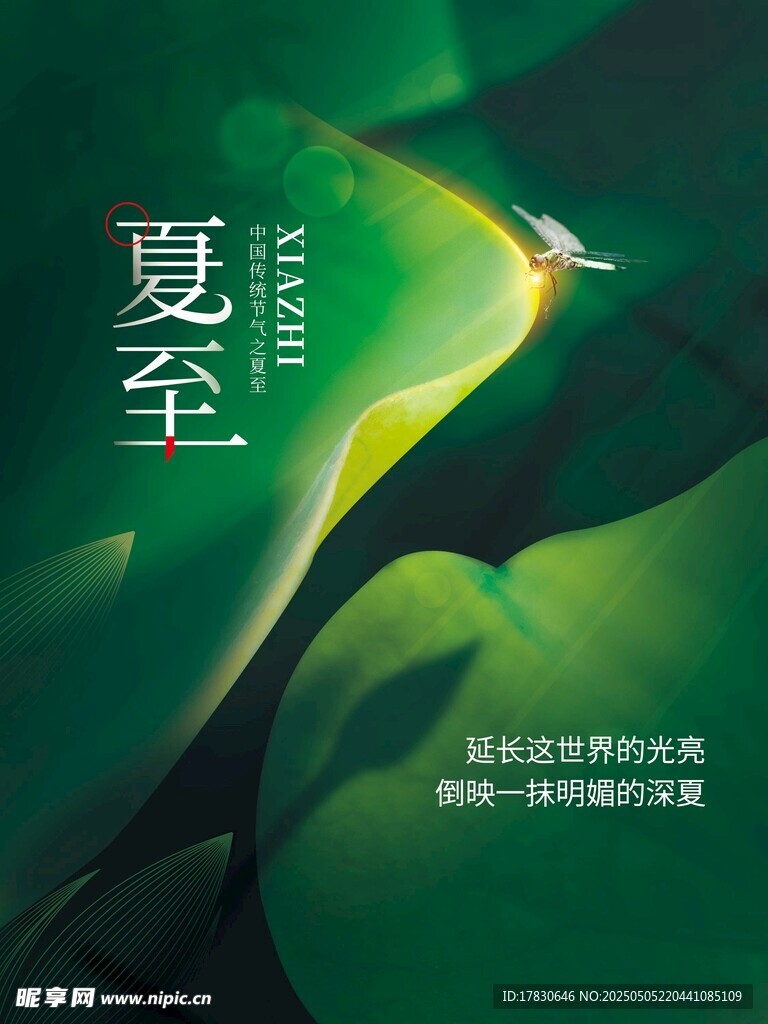 夏至时节绿意盎然海报