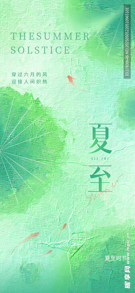 夏至时节绿意盎然画面