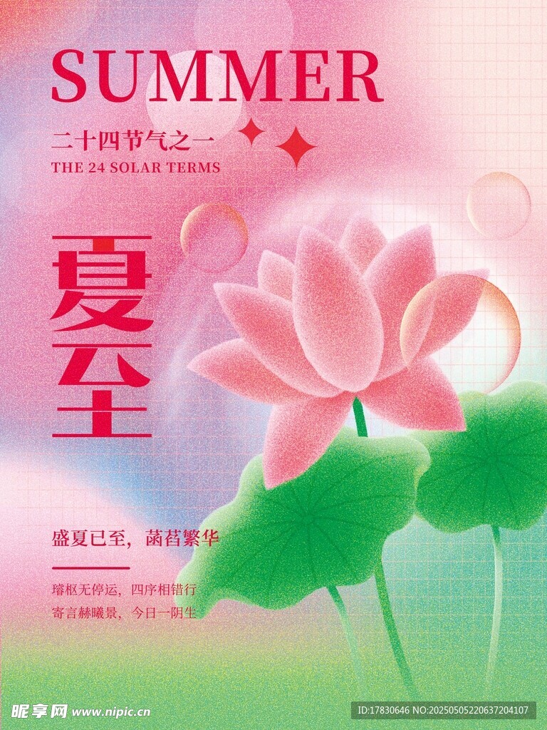 夏至夏日荷花海报设计