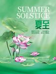 夏至时节荷花绽放