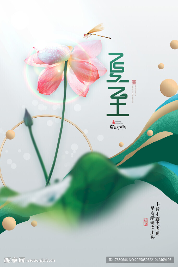 夏至荷花图