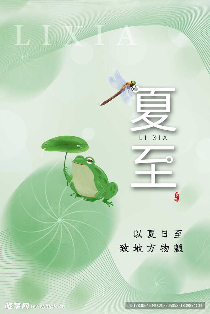 夏至时节的清新荷塘景象