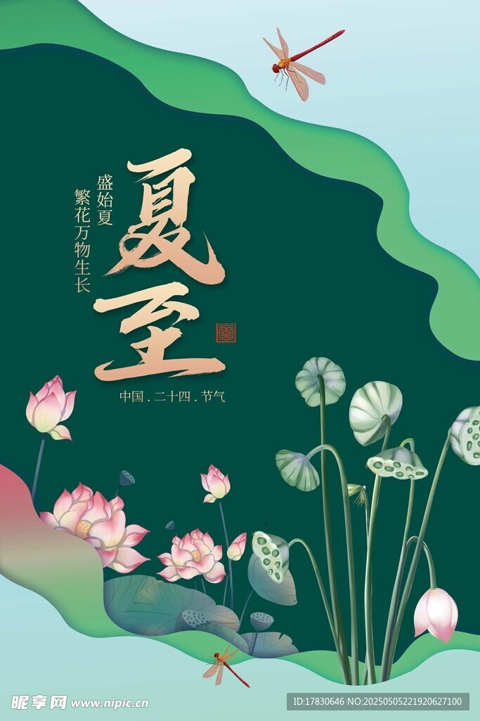 夏至时节荷花蜻蜓图