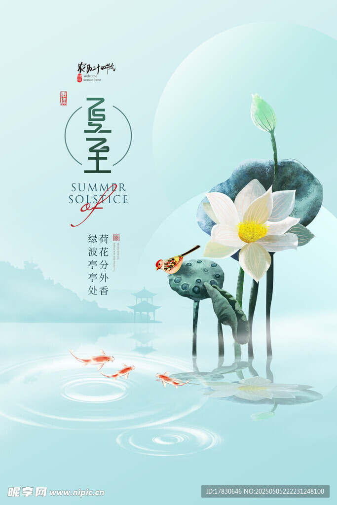 夏至荷花图