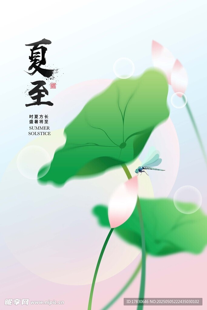 夏日荷花图