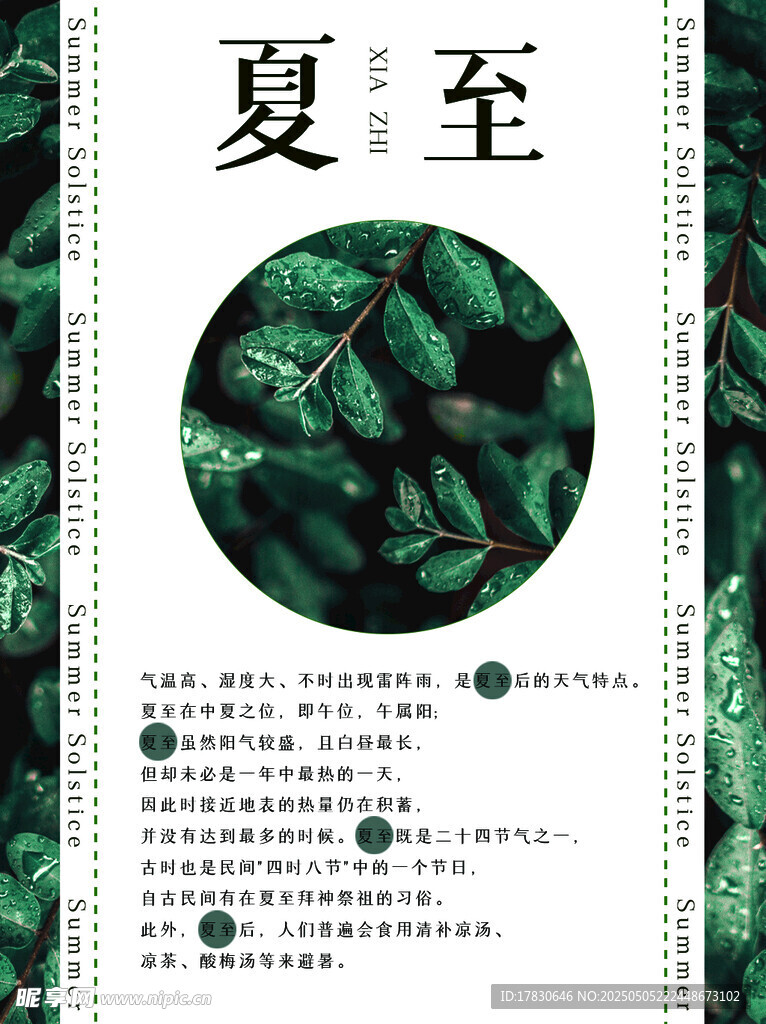 夏至节气海报设计元素