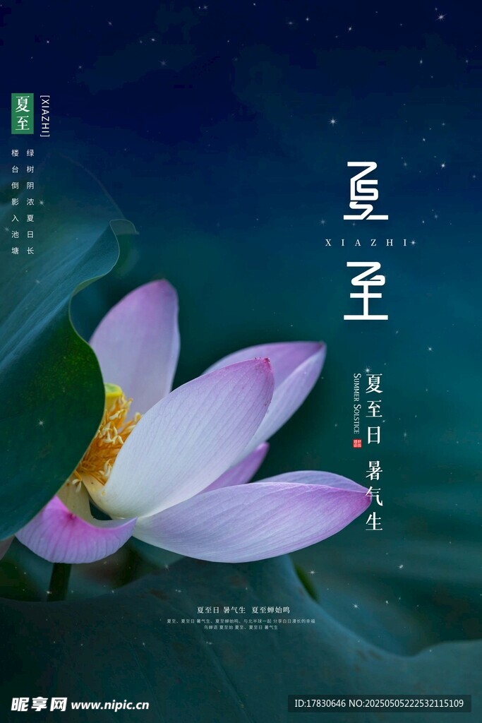 唯美莲花图 尽显静谧雅致