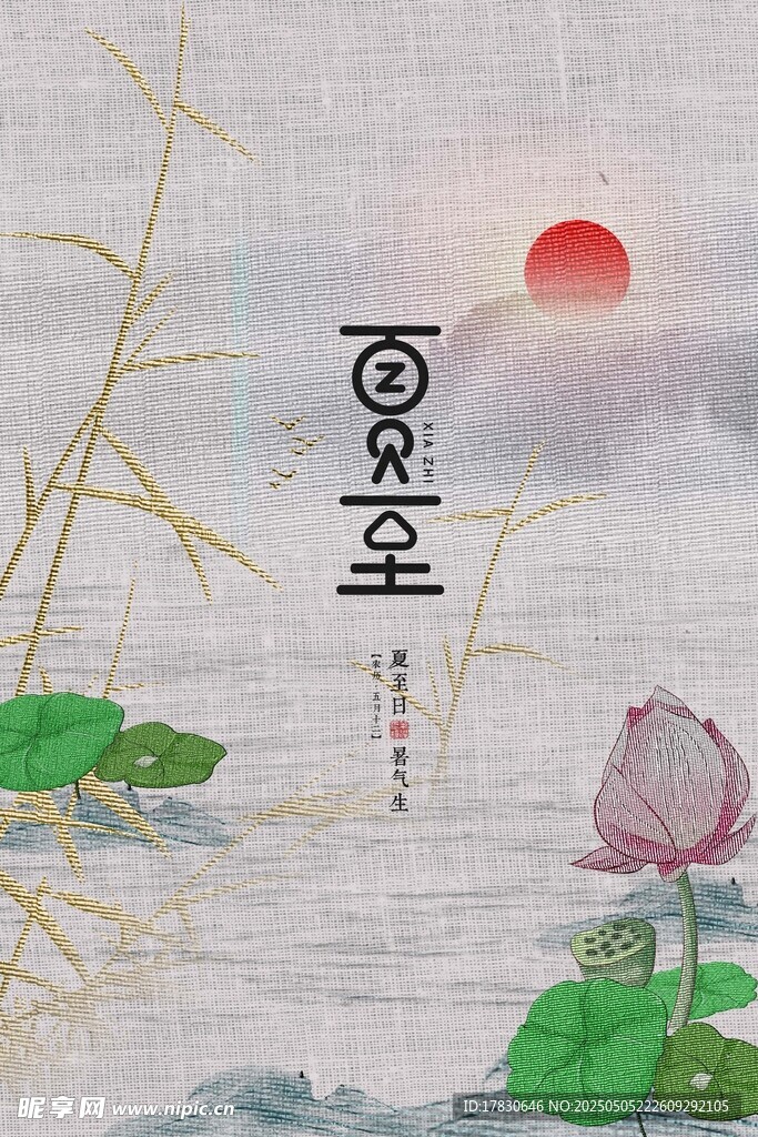 夏至荷花图
